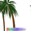 Coconut Tree 2D image