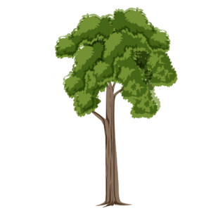 2d big tree png