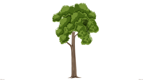 2d big tree png