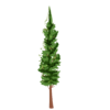 2d green tree image png