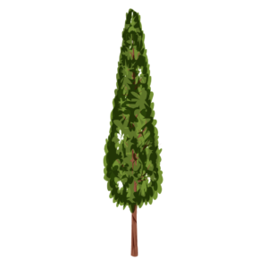 tree of park png