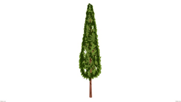 tree of park png